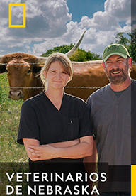 VETERINARIOS DE NEBRASKA
